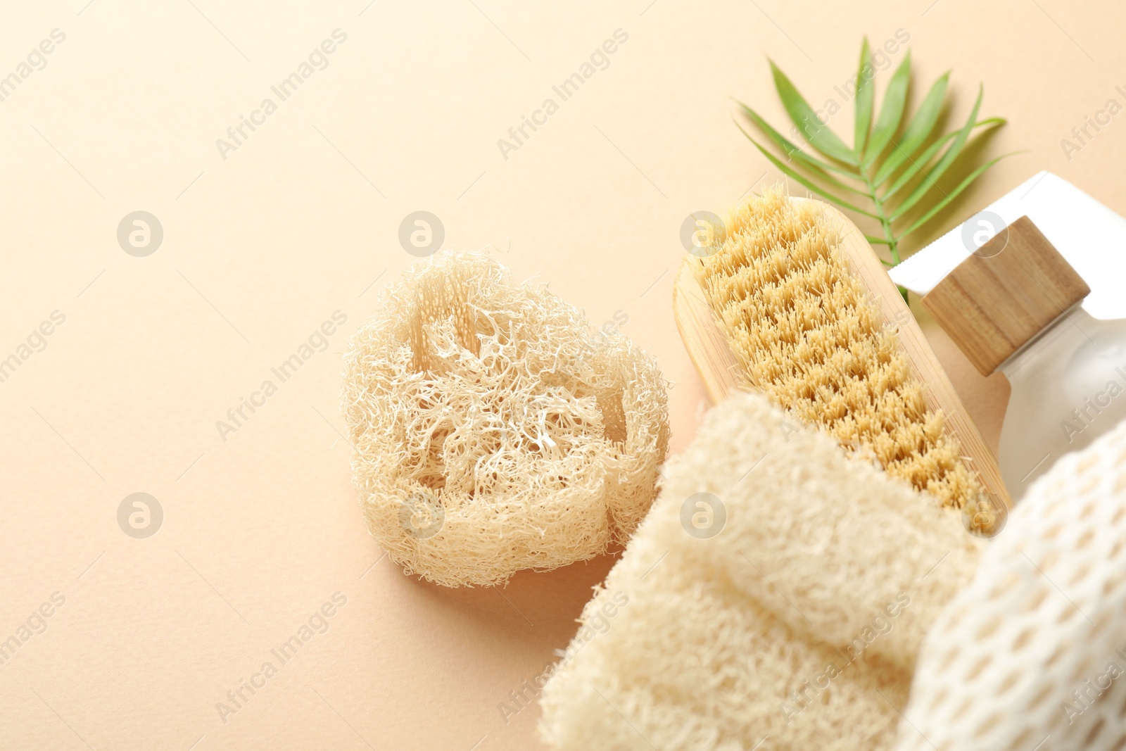 Natural loofah sponges, cosmetic products, brush and green twig on beige background, above view. Space for text Photo of Natural loofah sponges, cosmetic products, brush and green twig on beige background, above view. Space for text