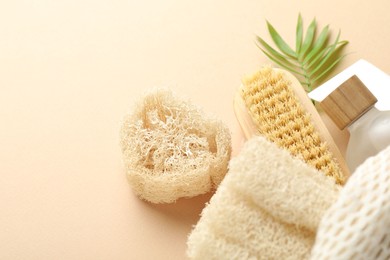 Photo of Natural loofah sponges, cosmetic products, brush and green twig on beige background, above view. Space for text
