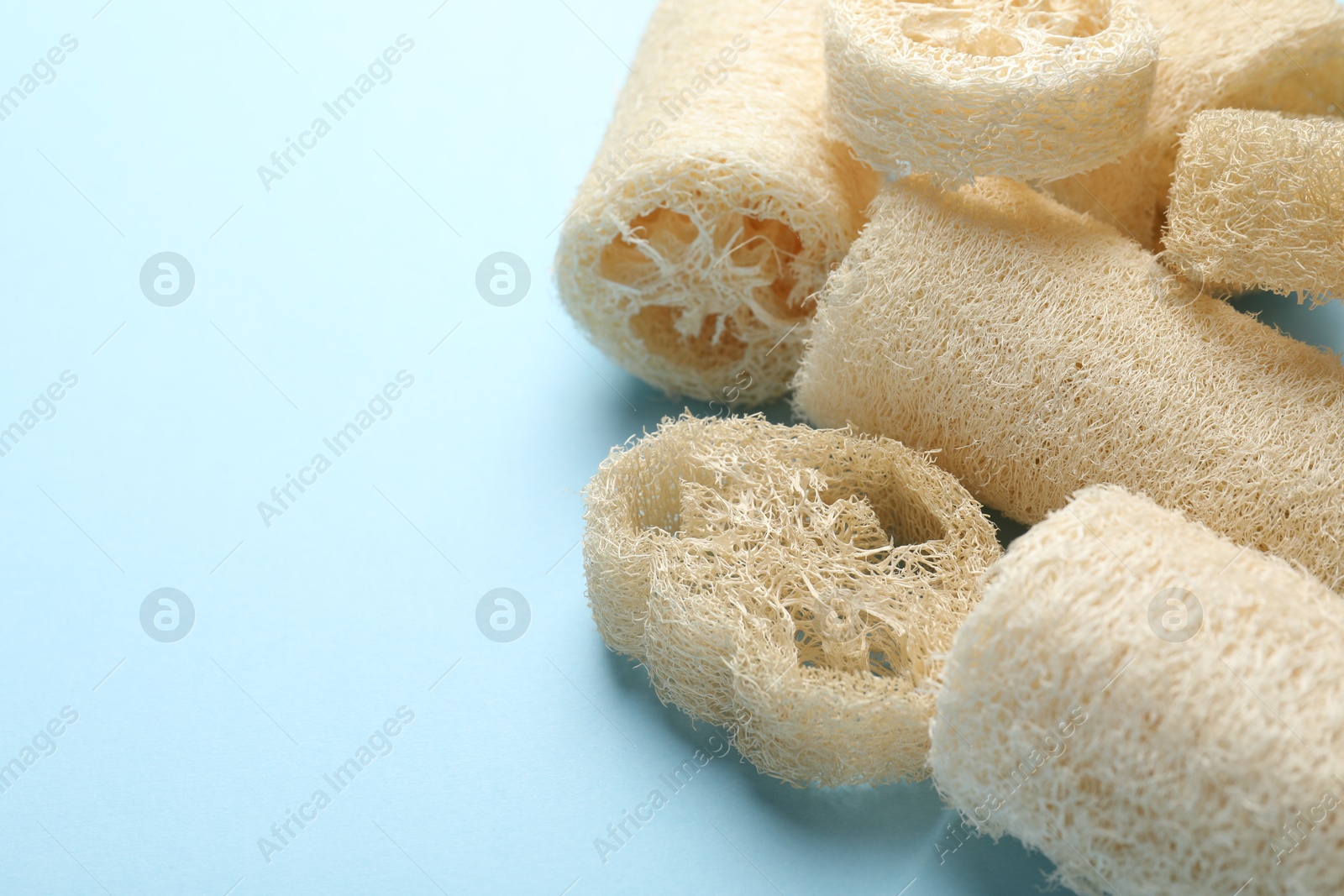 Natural loofah sponges on light blue background, closeup. Space for text Photo of Natural loofah sponges on light blue background, closeup. Space for text