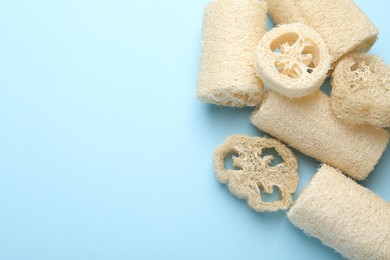 Photo of Natural loofah sponges on light blue background, flat lay. Space for text