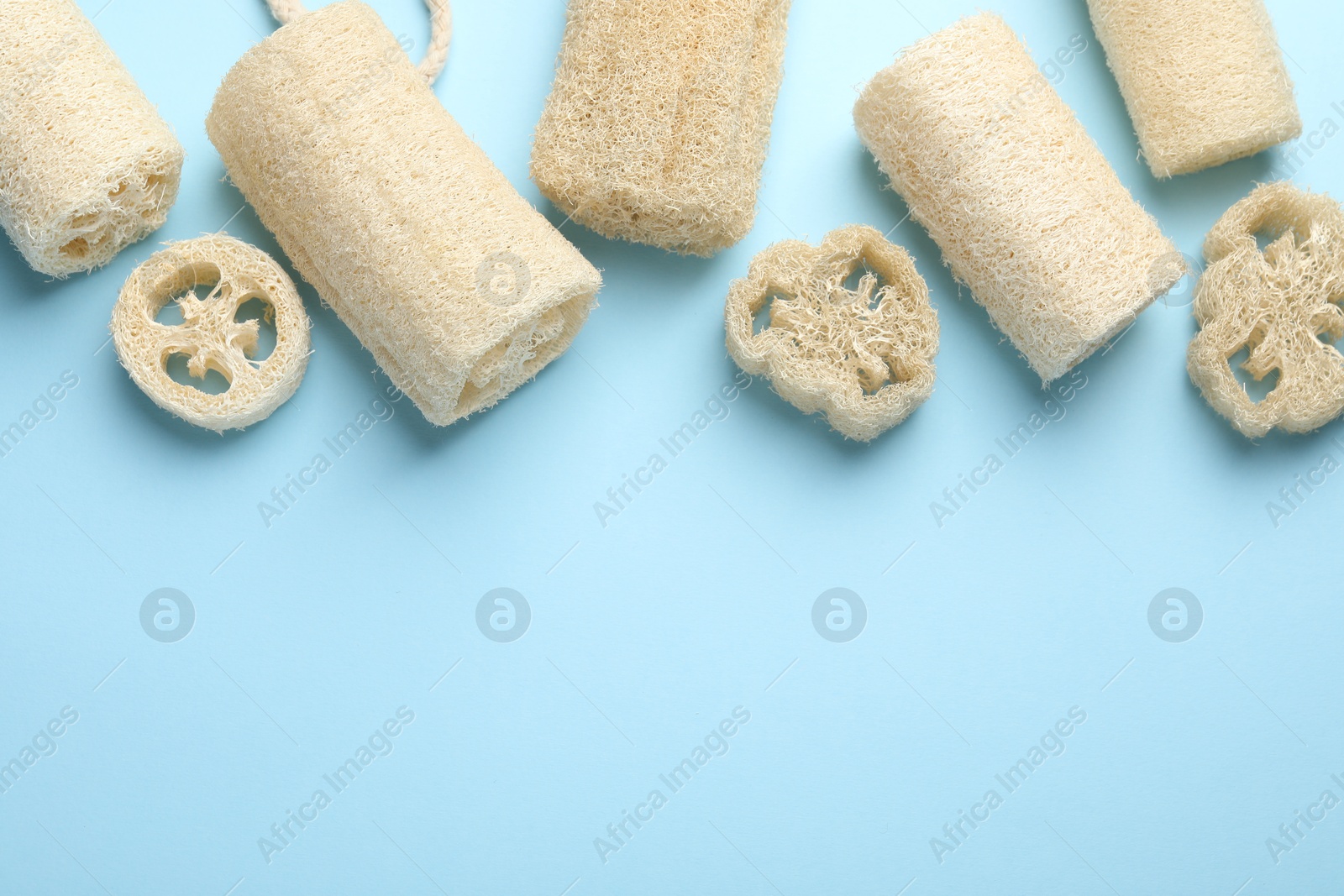 Natural loofah sponges on light blue background, flat lay. Space for text Photo of Natural loofah sponges on light blue background, flat lay. Space for text