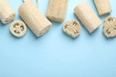Photo of Natural loofah sponges on light blue background, flat lay. Space for text