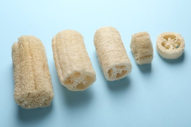 Photo of Natural loofah sponges on light blue background, above view