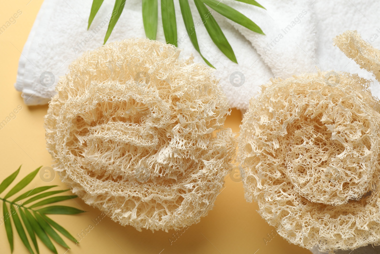 Natural loofah sponges, towel and green twigs on beige background, above view Photo of Natural loofah sponges, towel and green twigs on beige background, above view