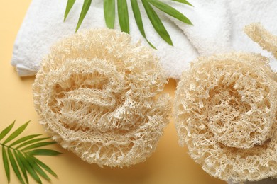 Photo of Natural loofah sponges, towel and green twigs on beige background, above view