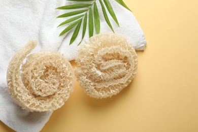 Photo of Natural loofah sponges, towel and green twig on beige background, flat lay. Space for text