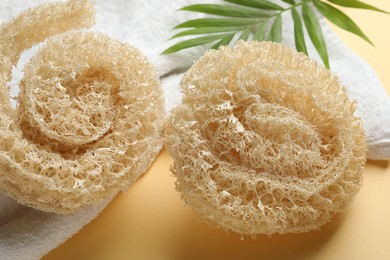 Photo of Natural loofah sponges, towel and green twig on beige background, closeup