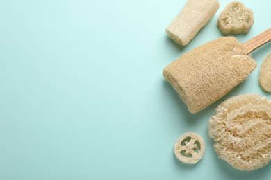 Photo of Natural loofah sponges on light blue background, flat lay. Space for text