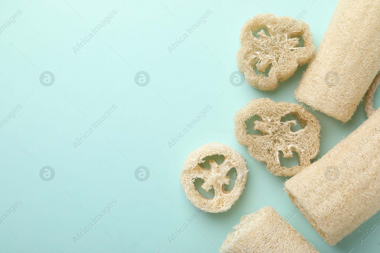 Natural loofah sponges on light blue background, flat lay. Space for text Photo of Natural loofah sponges on light blue background, flat lay. Space for text