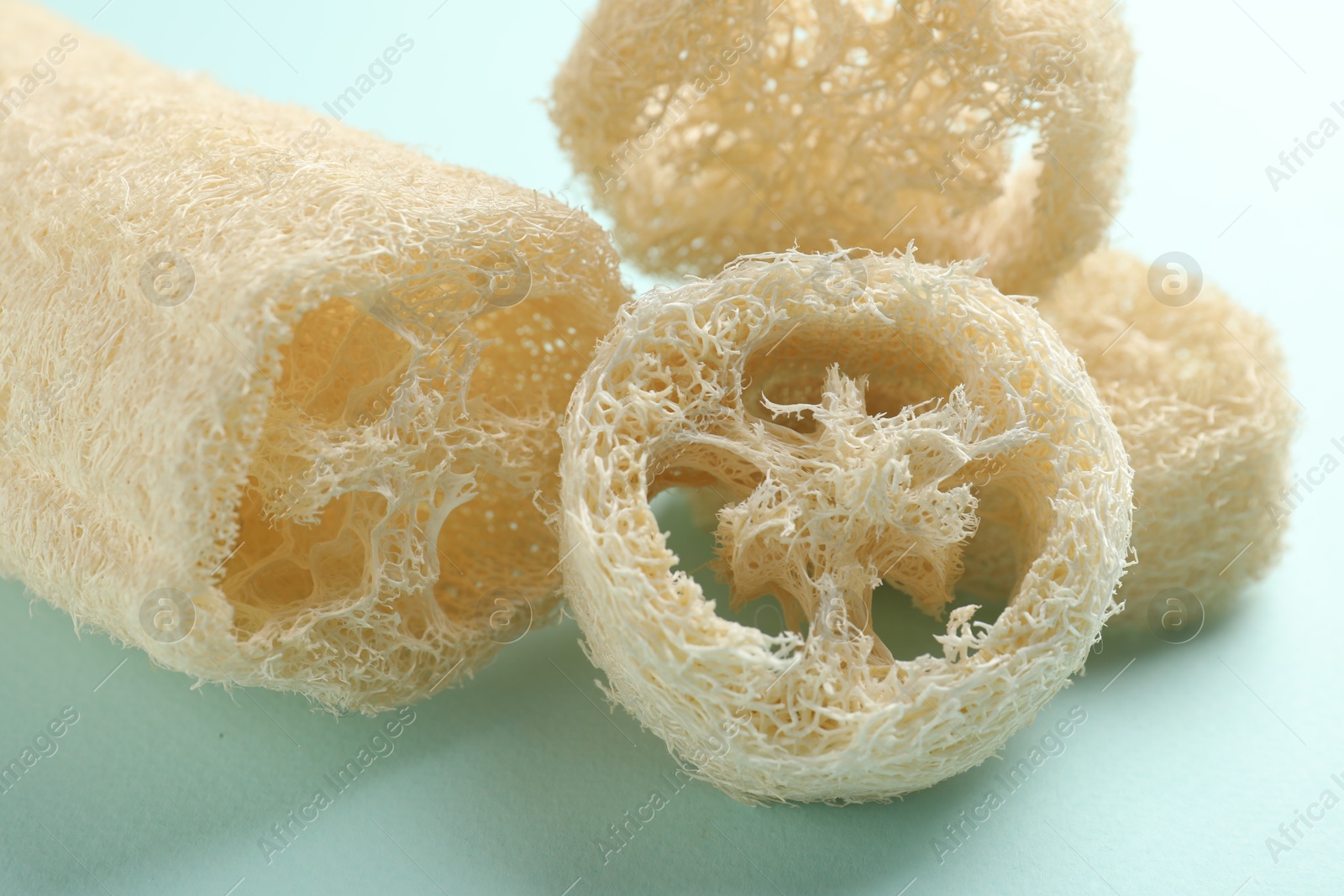 Natural loofah sponges on light blue background, closeup Photo of Natural loofah sponges on light blue background, closeup