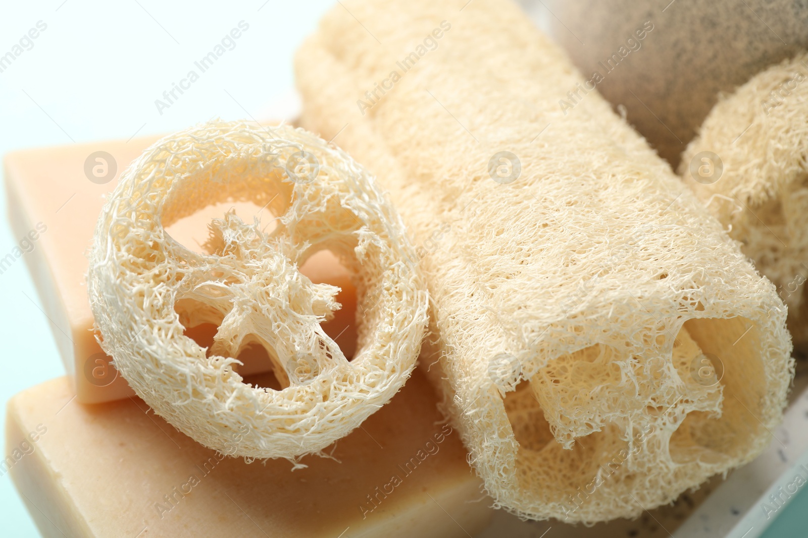 Natural loofah sponges and soap on light blue background, closeup Photo of Natural loofah sponges and soap on light blue background, closeup