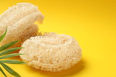 Photo of Natural loofah sponges and green twig on yellow background, closeup. Space for text