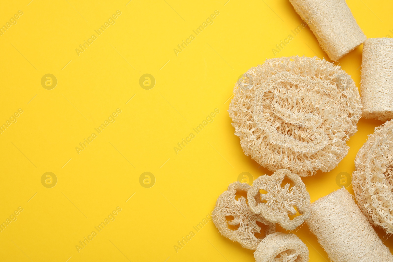 Natural loofah sponges on yellow background, flat lay. Space for text Photo of Natural loofah sponges on yellow background, flat lay. Space for text