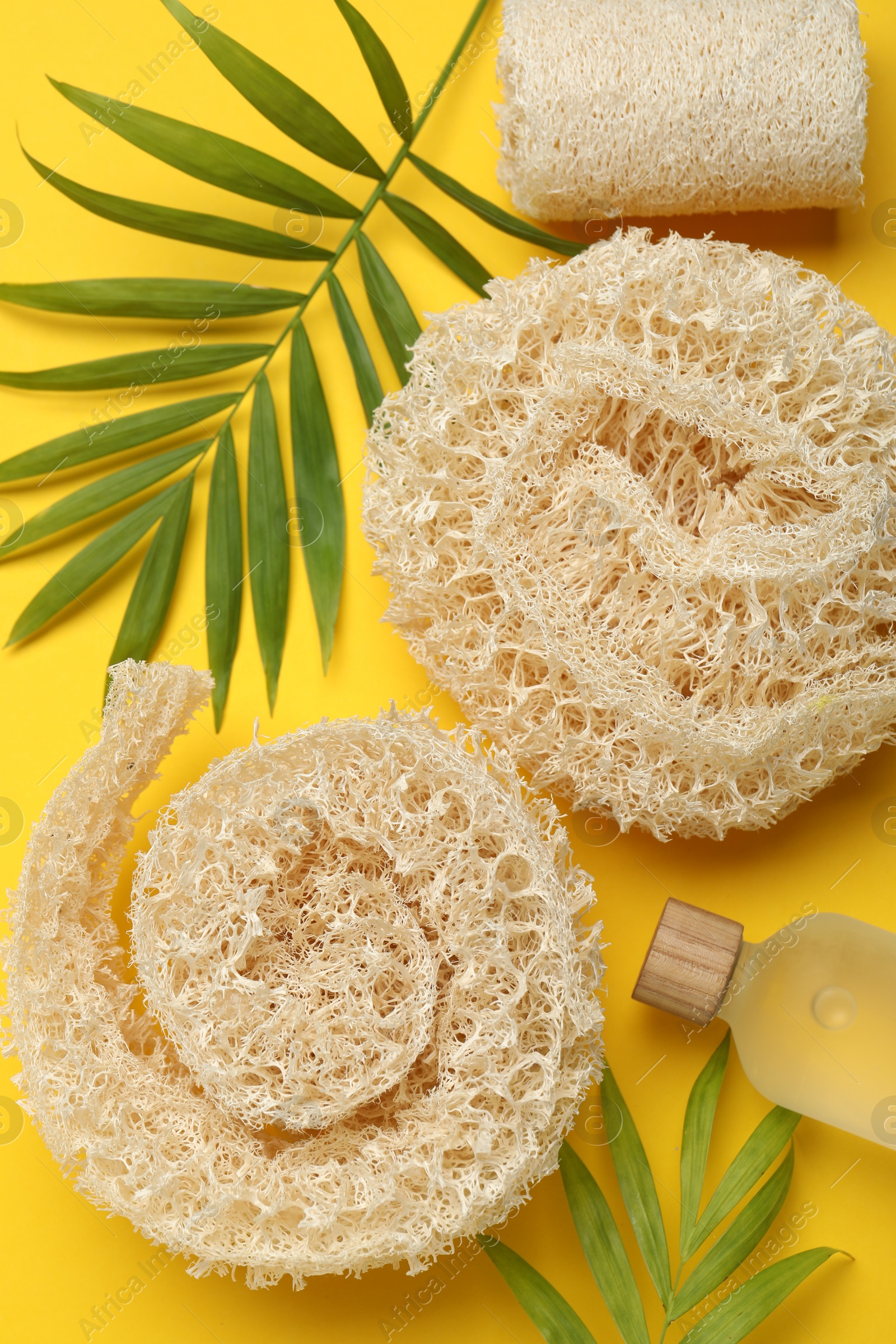 Natural loofah sponges, cosmetic product and green twigs on yellow background, flat lay Photo of Natural loofah sponges, cosmetic product and green twigs on yellow background, flat lay