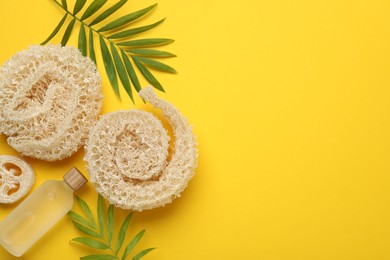Photo of Natural loofah sponges, cosmetic product and green twigs on yellow background, flat lay. Space for text