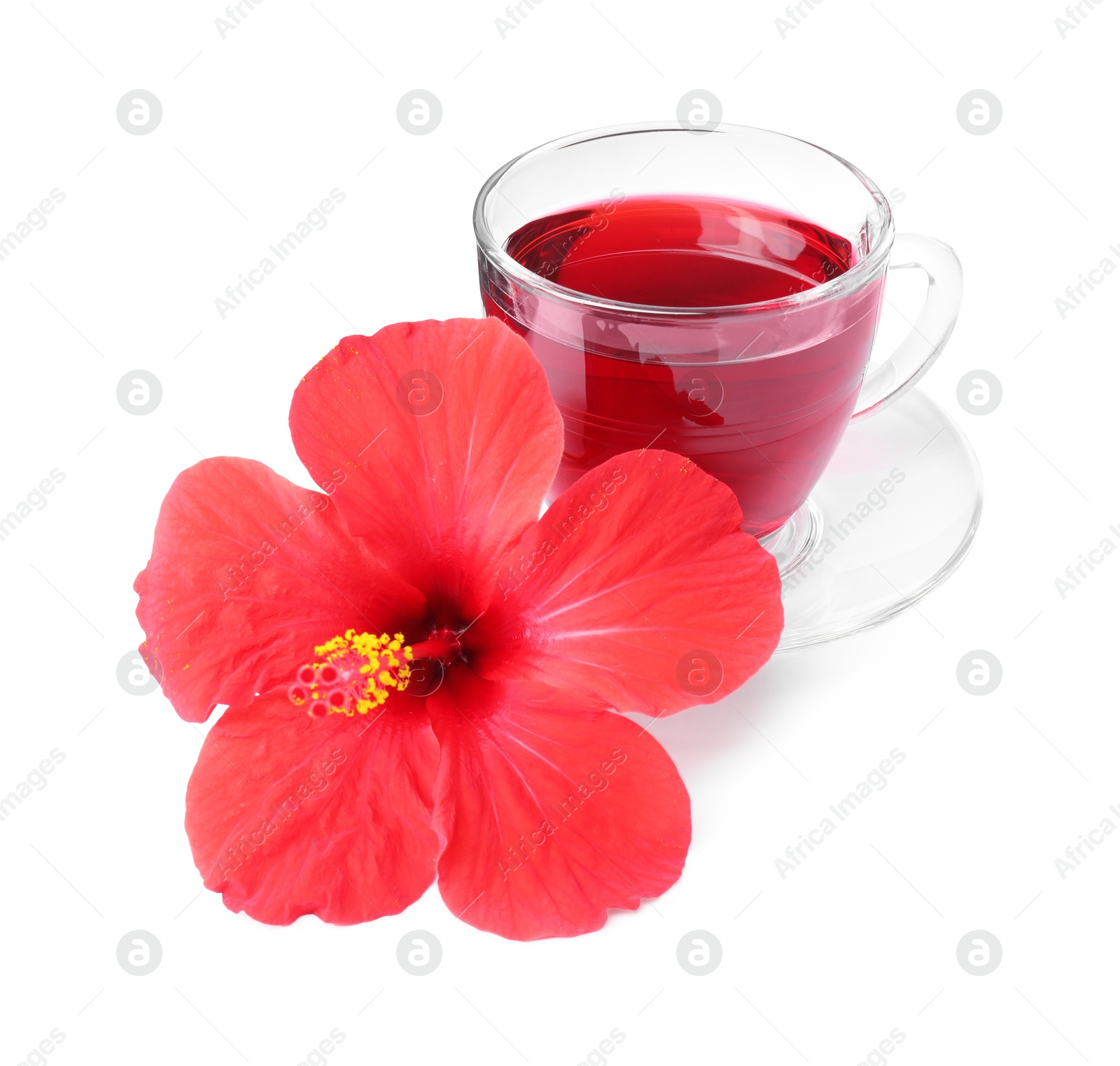 Delicious hibiscus tea in glass cup and beautiful flower isolated on white Photo of Delicious hibiscus tea in glass cup and beautiful flower isolated on white