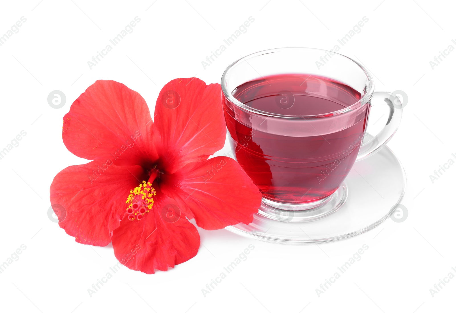 Delicious hibiscus tea in glass cup and beautiful flower isolated on white Photo of Delicious hibiscus tea in glass cup and beautiful flower isolated on white