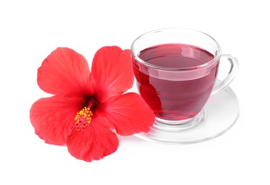 Photo of Delicious hibiscus tea in glass cup and beautiful flower isolated on white