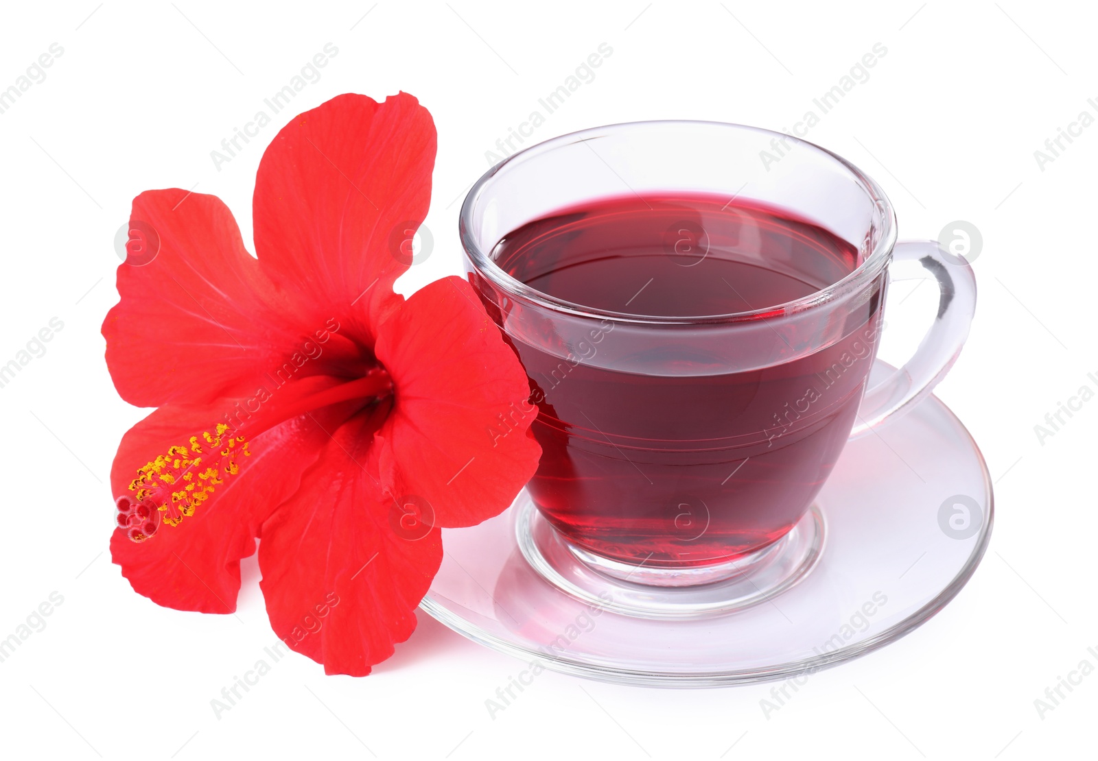 Delicious hibiscus tea in glass cup and beautiful flower isolated on white Photo of Delicious hibiscus tea in glass cup and beautiful flower isolated on white