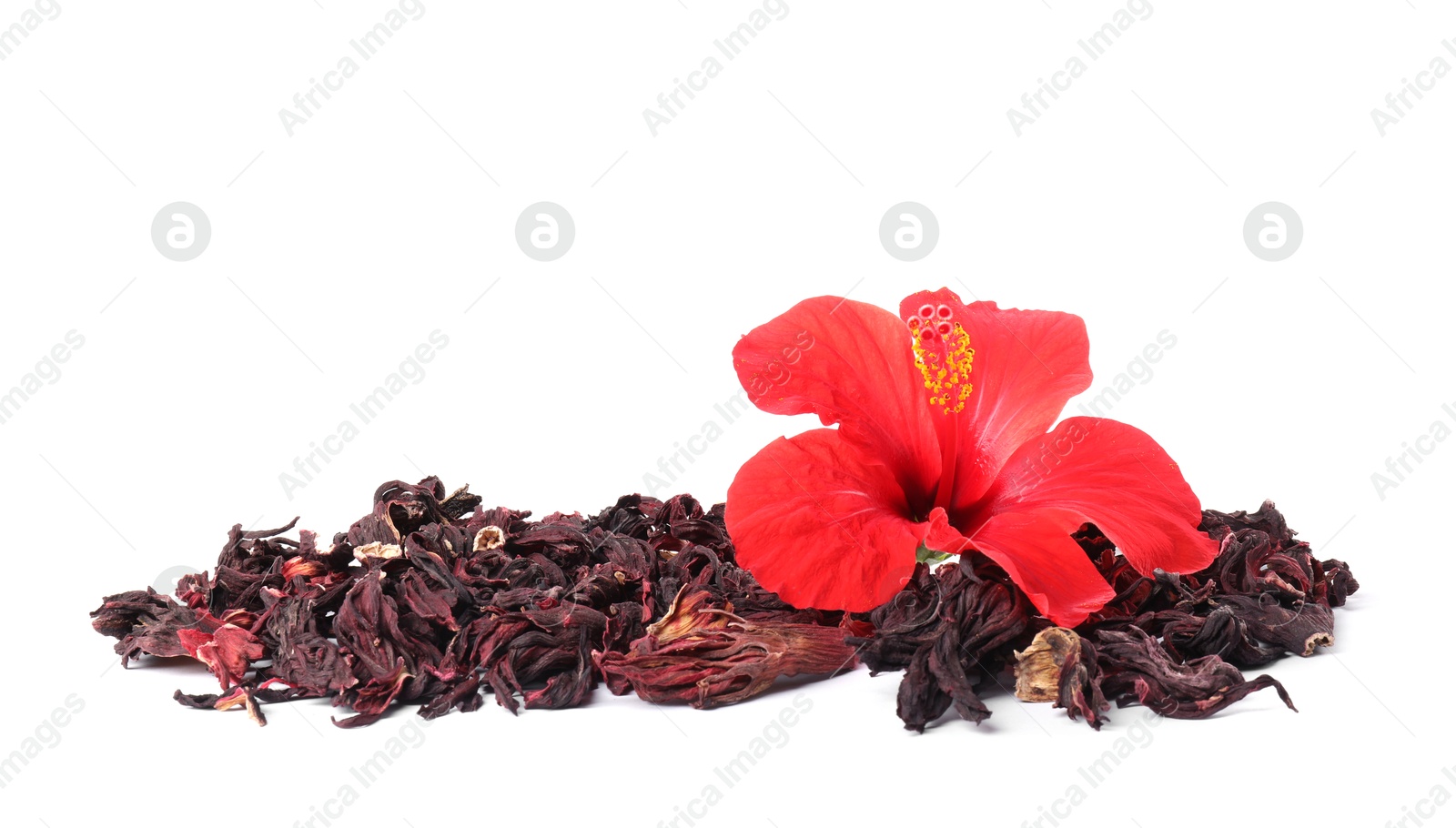 Hibiscus tea. Dried roselle sepals and beautiful flower isolated on white Photo of Hibiscus tea. Dried roselle sepals and beautiful flower isolated on white