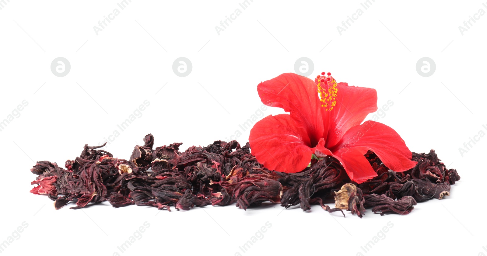 Hibiscus tea. Dried roselle sepals and beautiful flower isolated on white Photo of Hibiscus tea. Dried roselle sepals and beautiful flower isolated on white