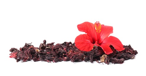 Photo of Hibiscus tea. Dried roselle sepals and beautiful flower isolated on white