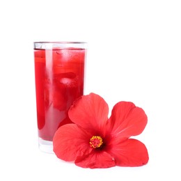 Photo of Delicious hibiscus tea with ice cubes in glass and beautiful flower isolated on white
