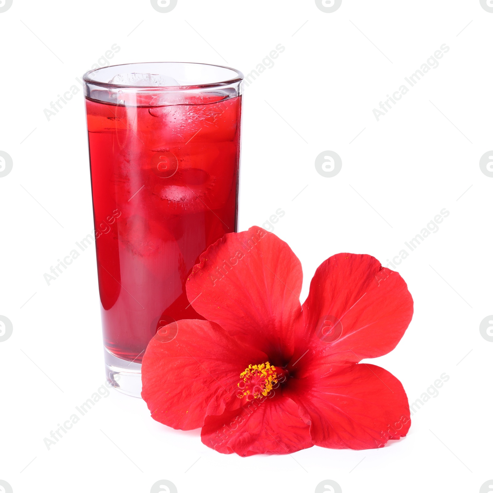 Delicious hibiscus tea with ice cubes in glass and beautiful flower isolated on white Photo of Delicious hibiscus tea with ice cubes in glass and beautiful flower isolated on white