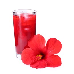Photo of Delicious hibiscus tea with ice cubes in glass and beautiful flower isolated on white