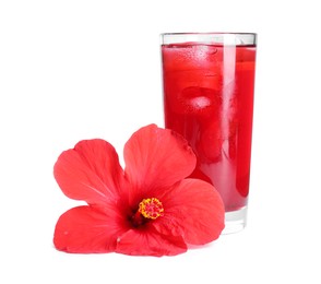 Photo of Delicious hibiscus tea with ice cubes in glass and beautiful flower isolated on white