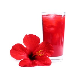 Photo of Delicious hibiscus tea with ice cubes in glass and beautiful flower isolated on white