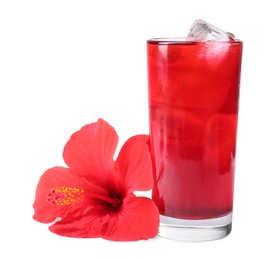 Photo of Delicious hibiscus tea with ice cubes in glass and beautiful flower isolated on white