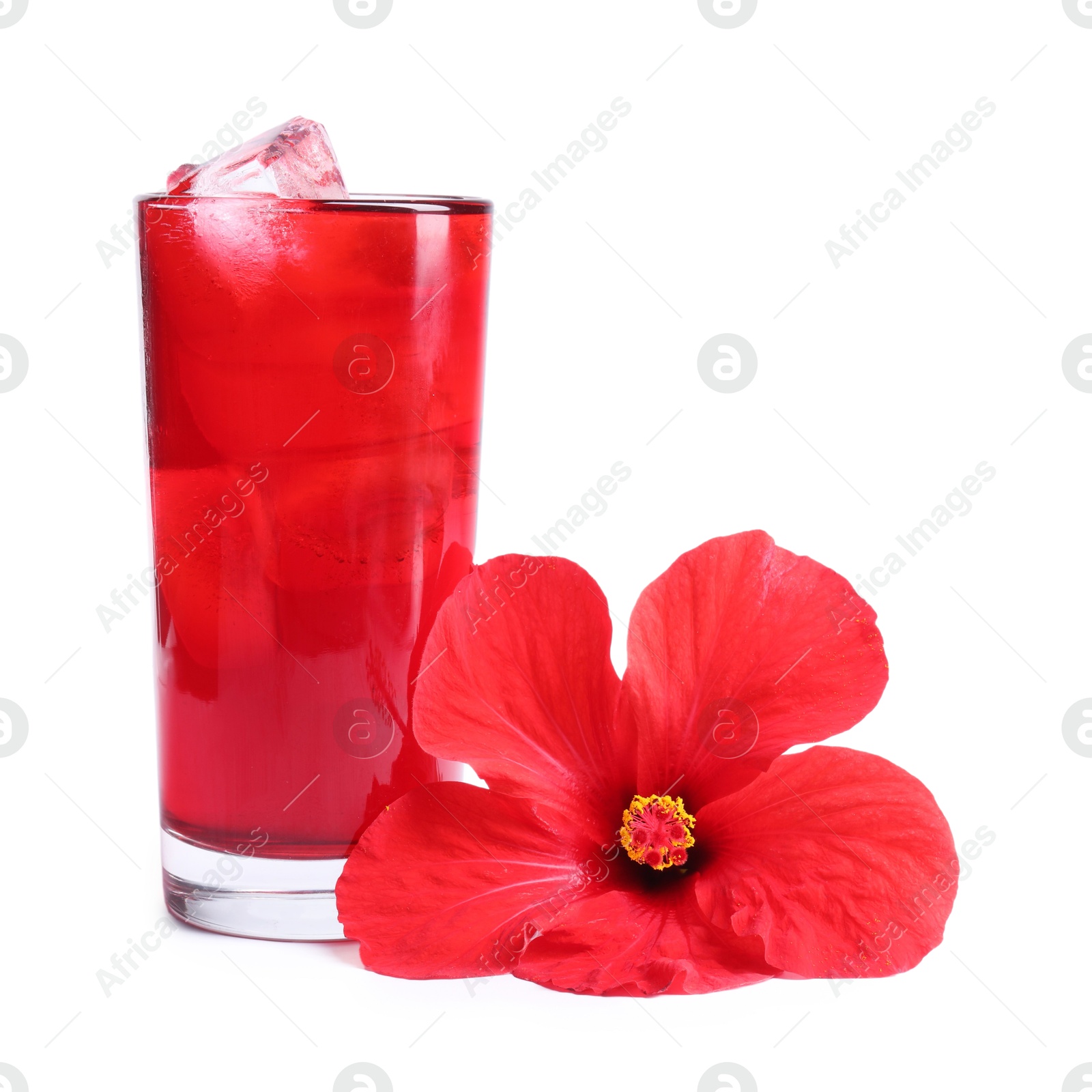 Delicious hibiscus tea with ice cubes in glass and beautiful flower isolated on white Photo of Delicious hibiscus tea with ice cubes in glass and beautiful flower isolated on white