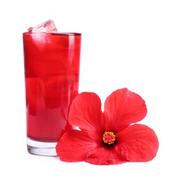 Photo of Delicious hibiscus tea with ice cubes in glass and beautiful flower isolated on white