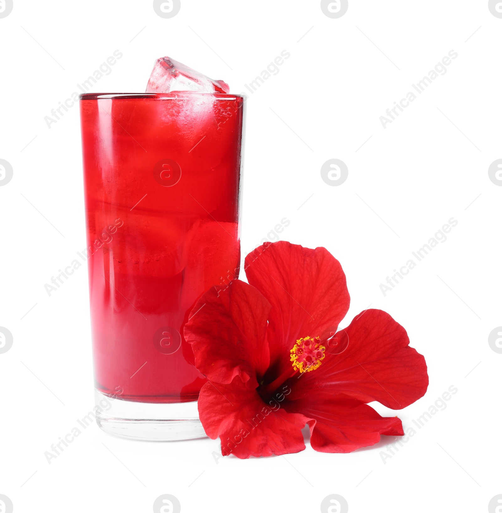 Delicious hibiscus tea with ice cubes in glass and beautiful flower isolated on white Photo of Delicious hibiscus tea with ice cubes in glass and beautiful flower isolated on white