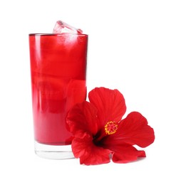 Photo of Delicious hibiscus tea with ice cubes in glass and beautiful flower isolated on white