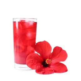 Photo of Delicious hibiscus tea with ice cubes in glass and beautiful flower isolated on white