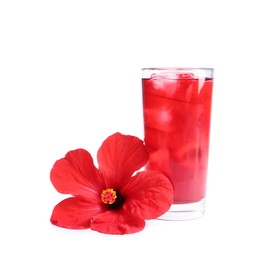 Photo of Delicious hibiscus tea with ice cubes in glass and beautiful flower isolated on white