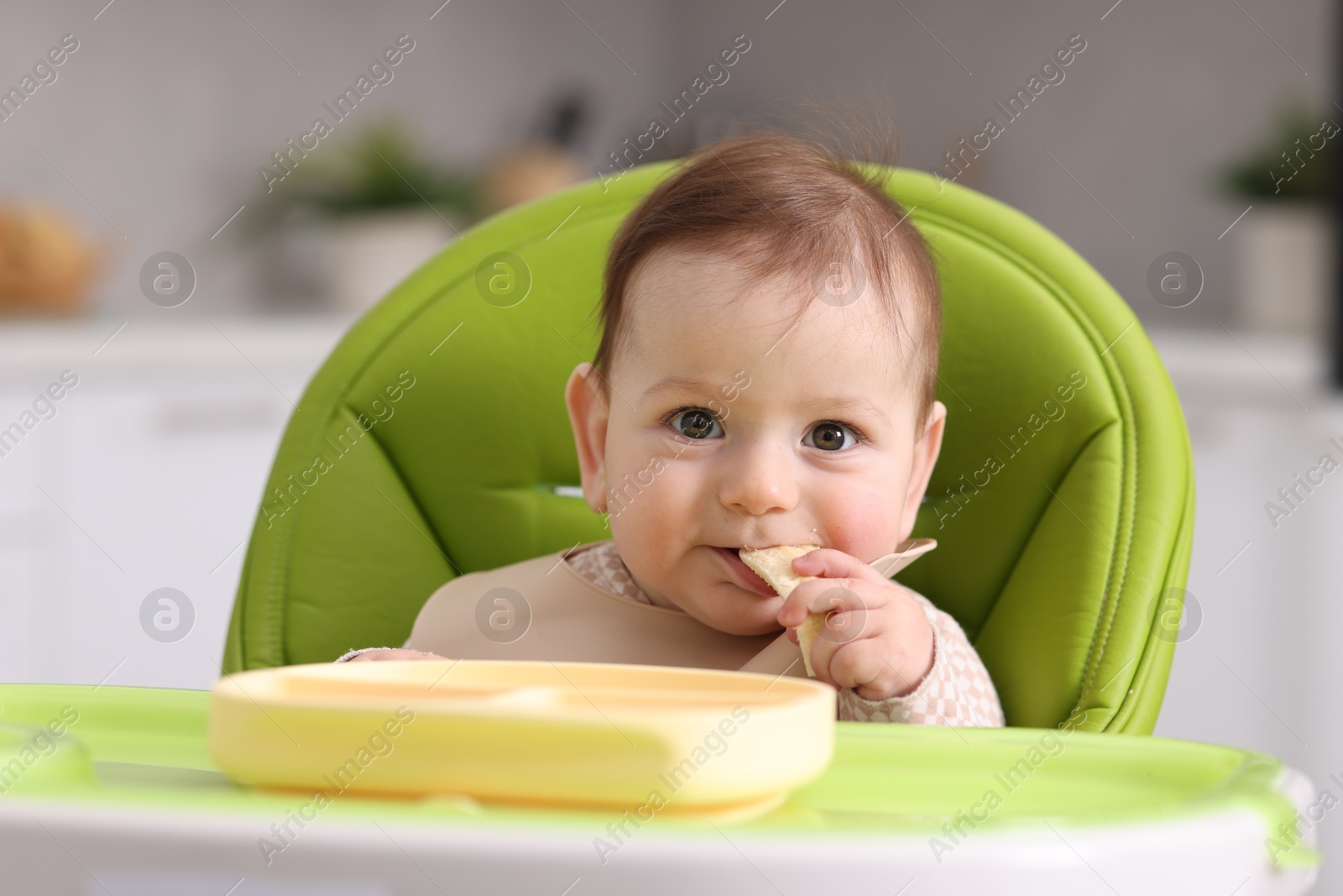 Cute little baby eating on feeding chair at home Photo of Cute little baby eating on feeding chair at home