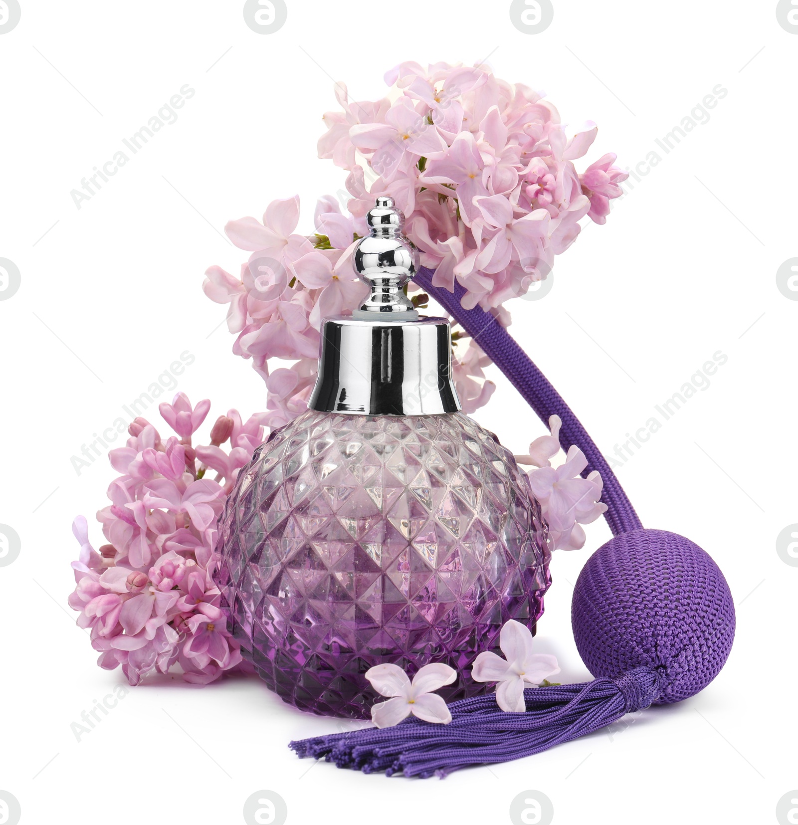 Luxury perfume and beautiful lilac flowers isolated on white Photo of Luxury perfume and beautiful lilac flowers isolated on white