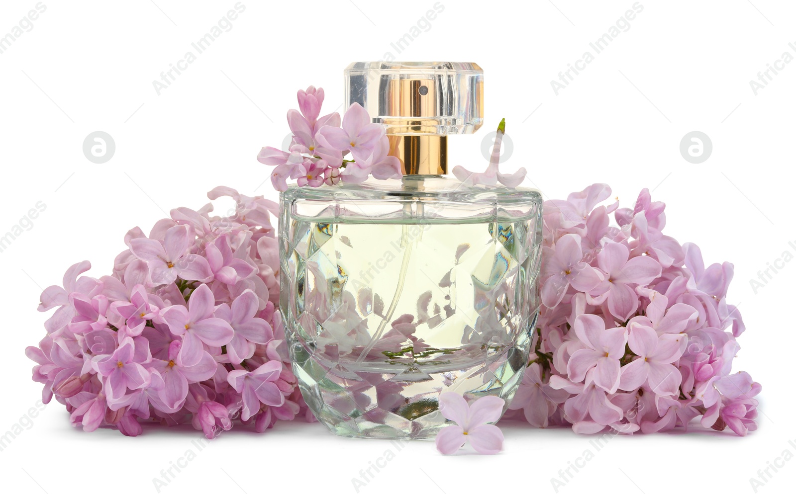 Luxury perfume and beautiful lilac flowers isolated on white Photo of Luxury perfume and beautiful lilac flowers isolated on white