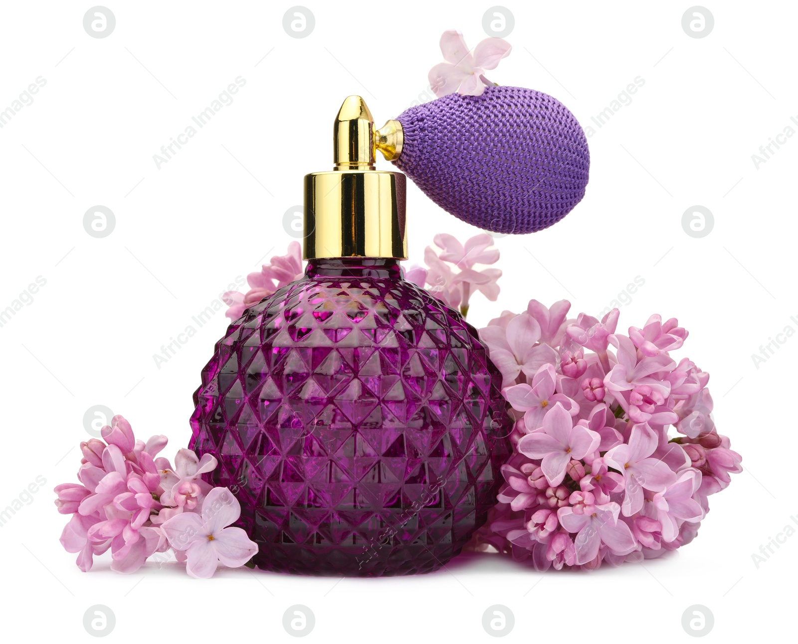 Luxury perfume and beautiful lilac flowers isolated on white Photo of Luxury perfume and beautiful lilac flowers isolated on white