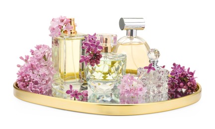 Photo of Luxury perfumes and beautiful lilac flowers isolated on white