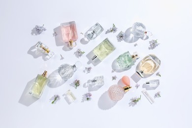Photo of Luxury perfumes and beautiful lilac flowers on white background, flat lay