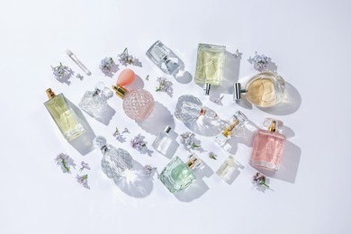 Photo of Luxury perfumes and beautiful lilac flowers on white background, flat lay
