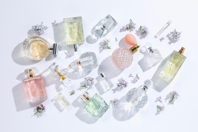 Photo of Luxury perfumes and beautiful lilac flowers on white background, flat lay