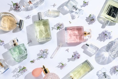 Photo of Luxury perfumes and beautiful lilac flowers on white background, flat lay