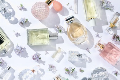 Photo of Luxury perfumes and beautiful lilac flowers on white background, flat lay