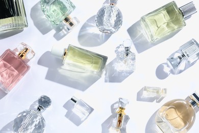 Photo of Luxury perfumes and beautiful lilac flowers on white background, flat lay