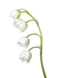 Photo of Beautiful fragrant lily-of-the-valley flowers isolated on white